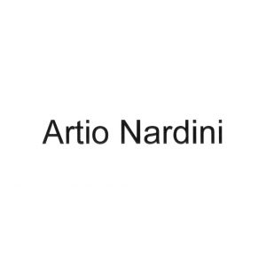 Artio Nardini