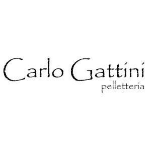 Carlo Gattini