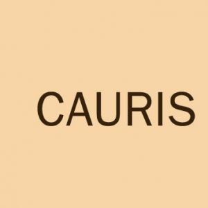 Cauris