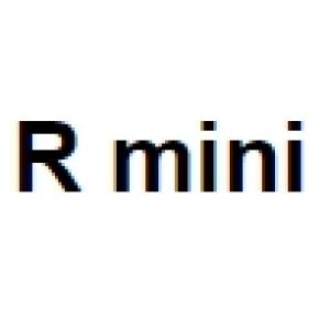 R mini